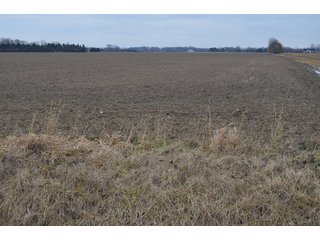 Property photo 46 - 175 Acres Offered in 5 Tracts - Tontogany, Ohio Farm Land Auction
